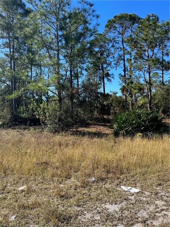620 Delmonico ST LEHIGH ACRES, FL 33974
