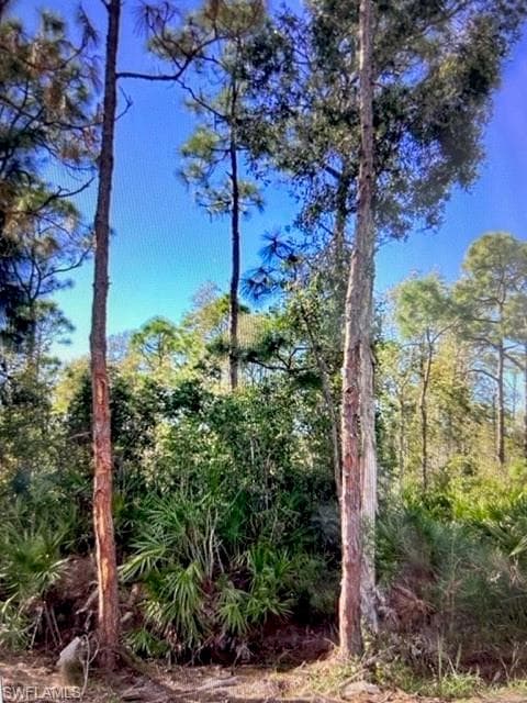 8945 Evergreen LN ST. JAMES CITY, FL 33956