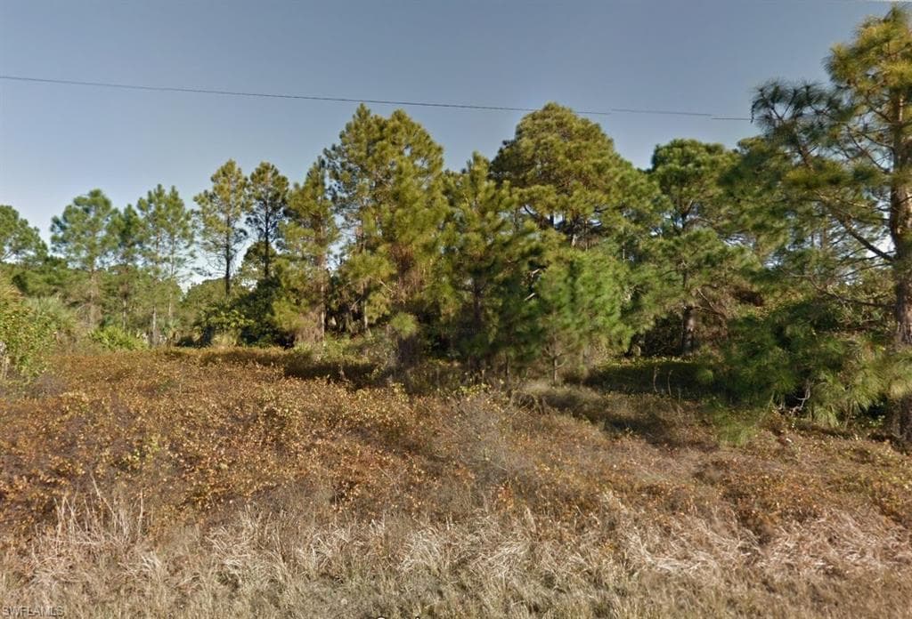 1241 Boxwood ST E LEHIGH ACRES, FL 33974