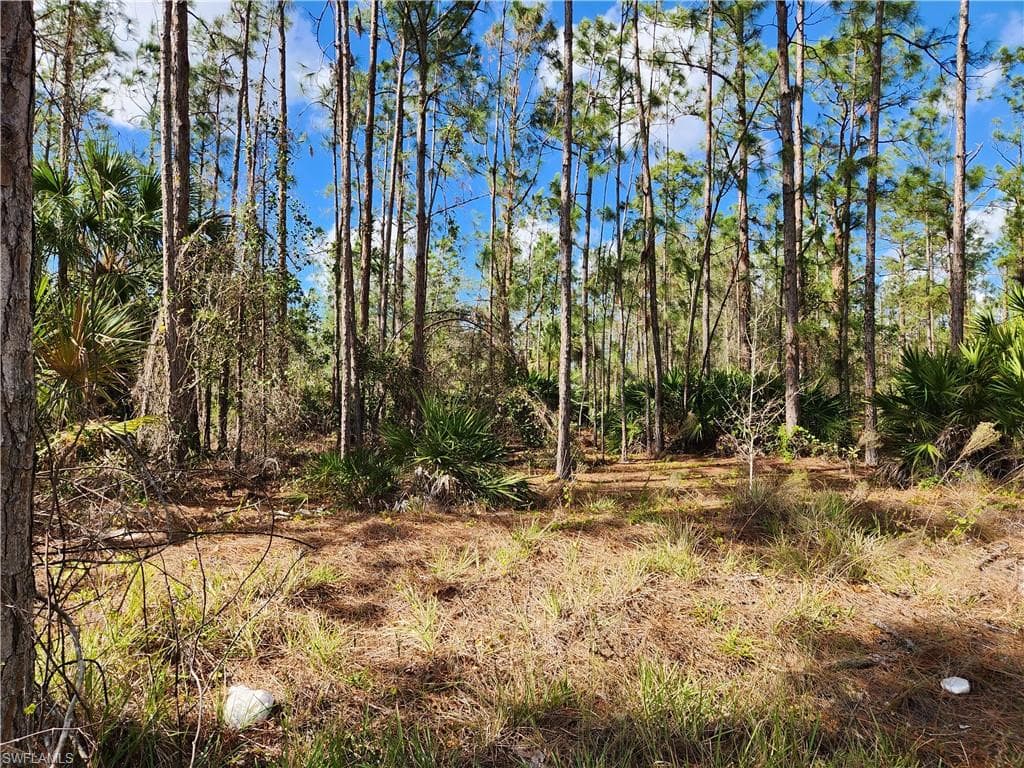 1215 Broadway AVE LEHIGH ACRES, FL 33972