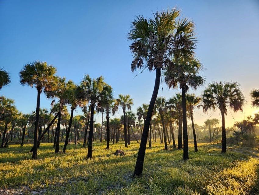 Ivy WAY NAPLES, FL 34117