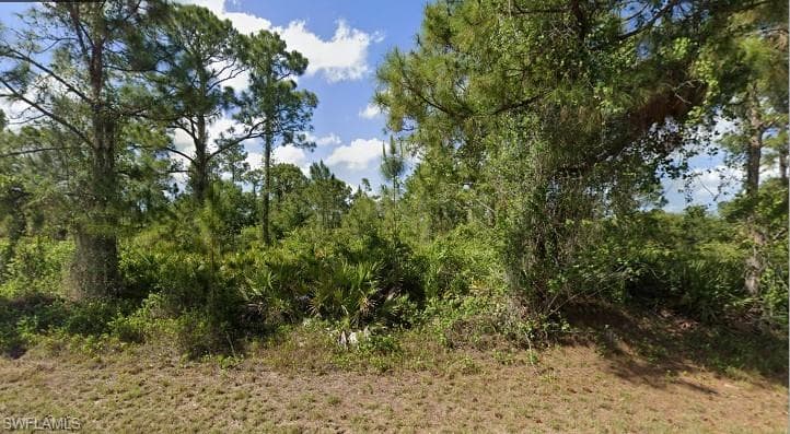 1063 Binkley ST E LEHIGH ACRES, FL 33974
