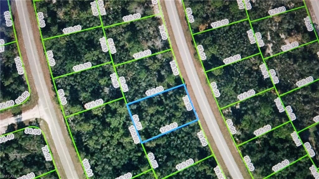121 Fillmore AVE NE LAKE PLACID, FL 33852