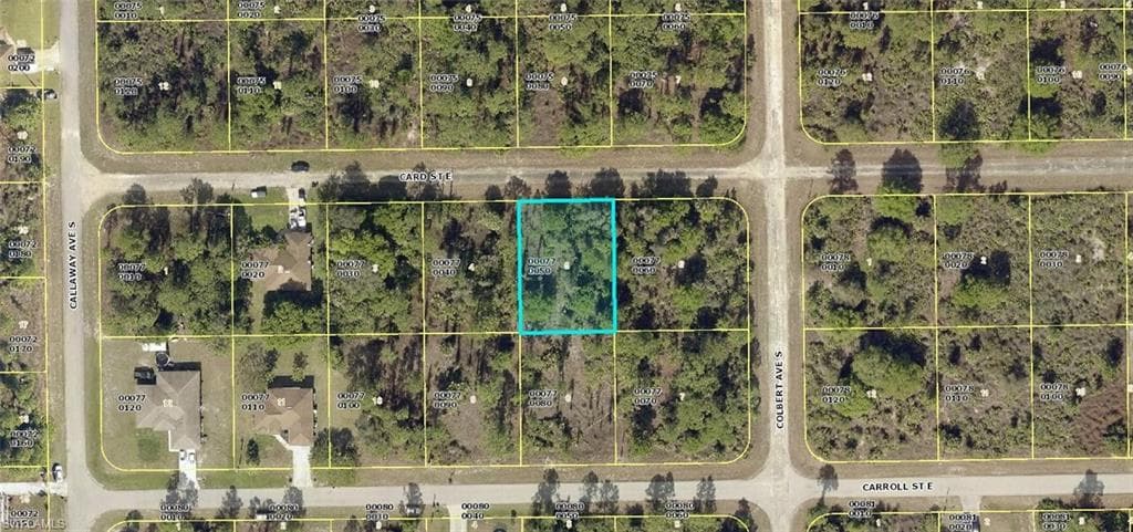 1024 Card ST E LEHIGH ACRES, FL 33974