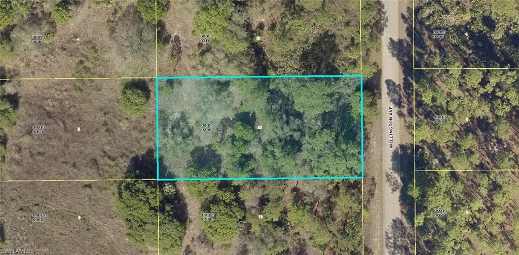 1315 Wellington AVE LEHIGH ACRES, FL 33972