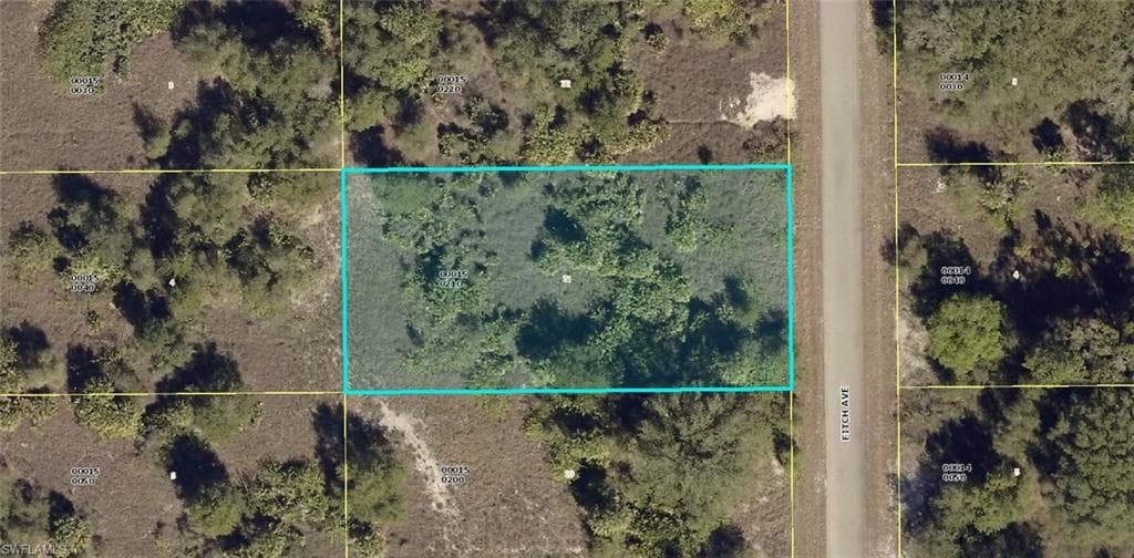 1717 Fitch AVE LEHIGH ACRES, FL 33972
