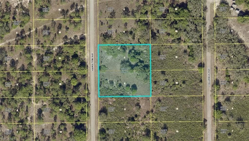 1316 Hamilton AVE LEHIGH ACRES, FL 33972