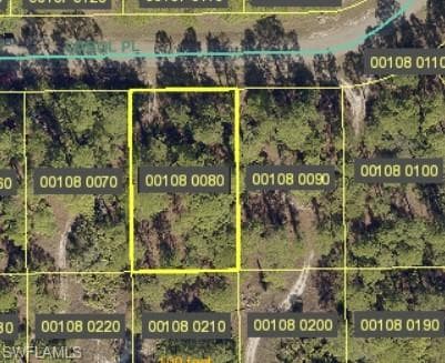 2609 Carol PL LEHIGH ACRES, FL 33971