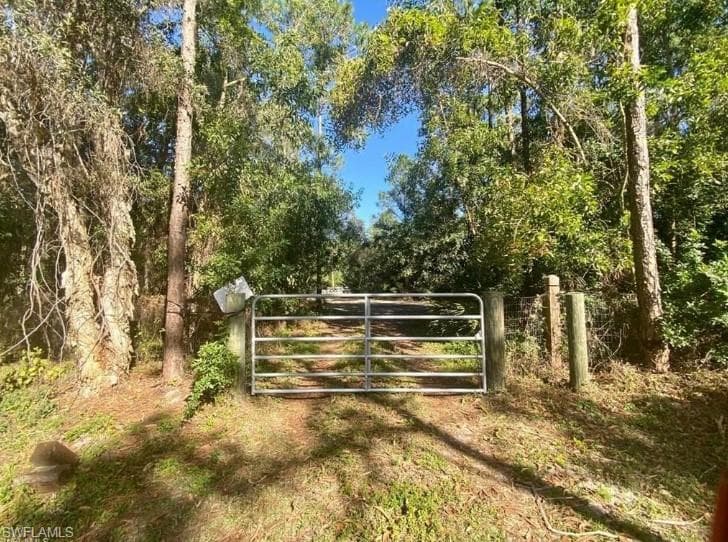 3500 Janis RD CAPE CORAL, FL 33993