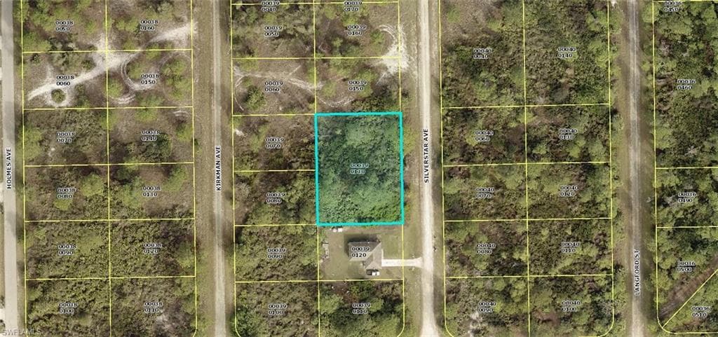 770 Silver Star AVE S LEHIGH ACRES, FL 33974