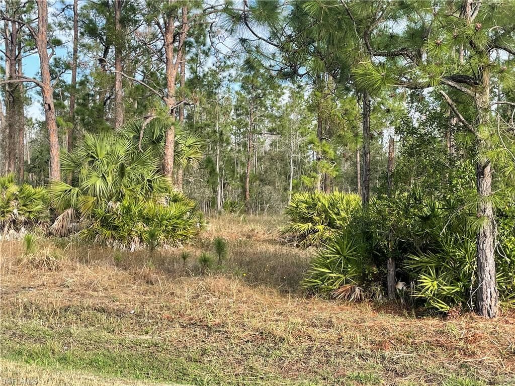 4635 43rd AVE NE NAPLES, FL 34120