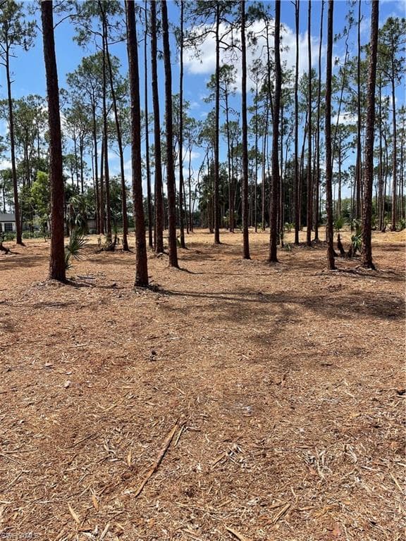 1 SABLE RIDGE LN NAPLES, AA 34019