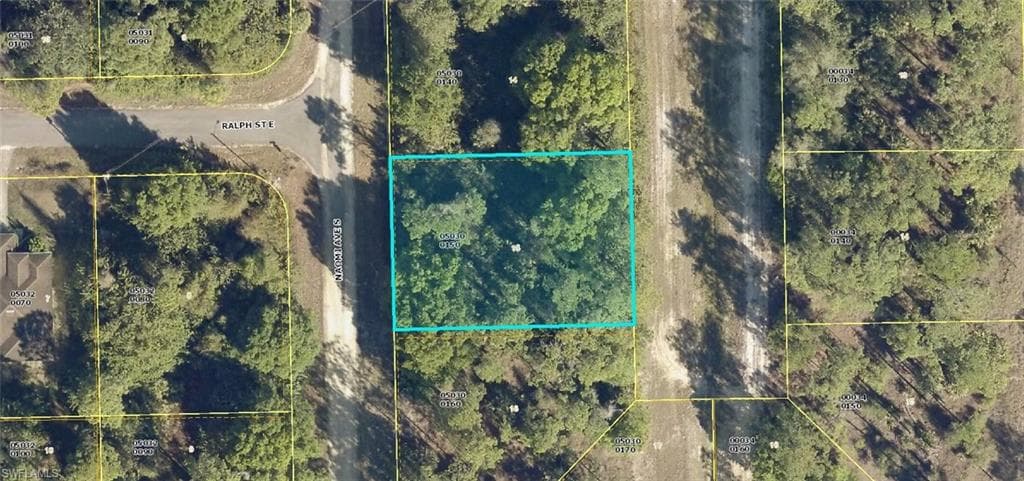 155 Naomi AVE S LEHIGH ACRES, FL 33974