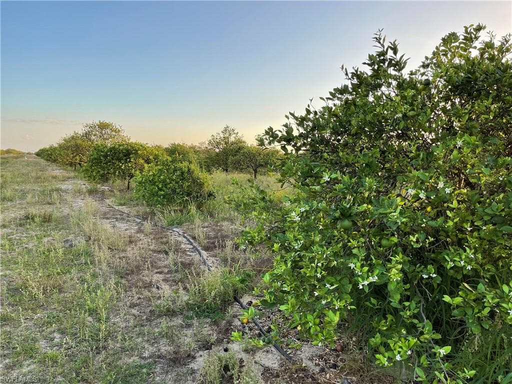 6675 and 6755 7th RD LABELLE, FL 33935