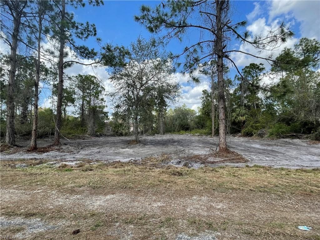 1147 Rosita ST E LEHIGH ACRES, FL 33974