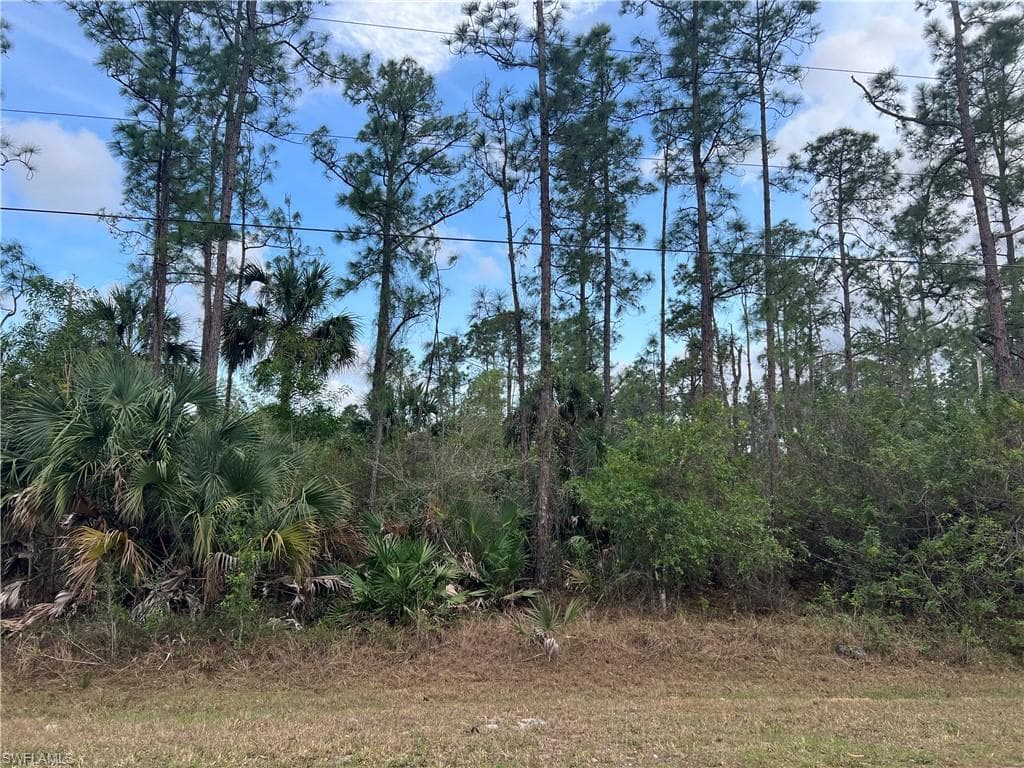 xxxx 4th AVE SE NAPLES, FL 34117