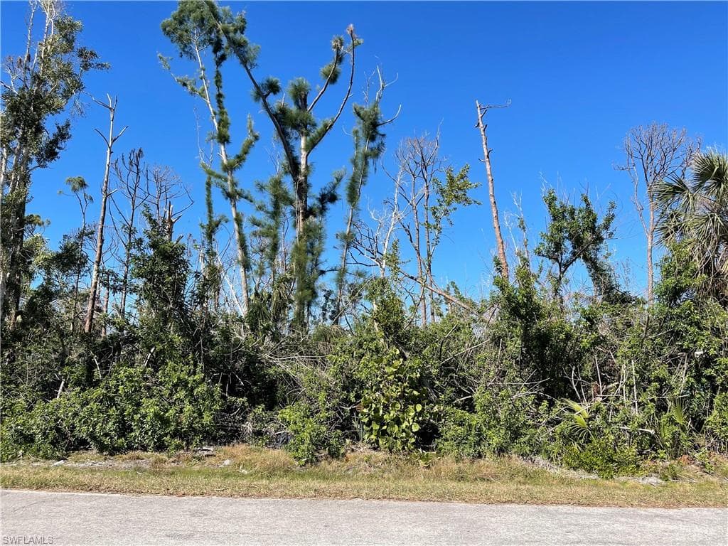 3486 TANGELO DR ST. JAMES CITY, FL 33956