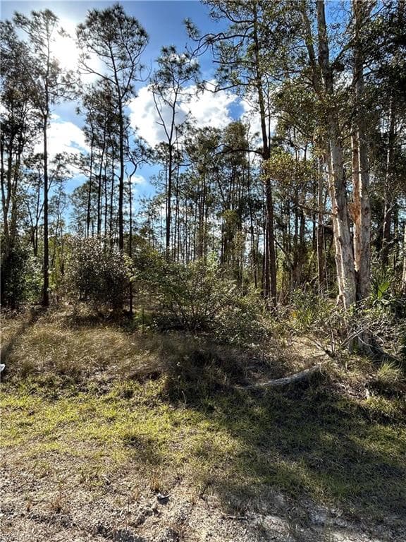 1314 Maple AVE N LEHIGH ACRES, FL 33972