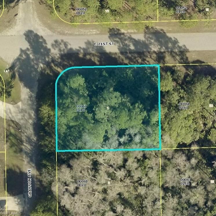 2024 GRAYSON AVE ALVA, FL 33920
