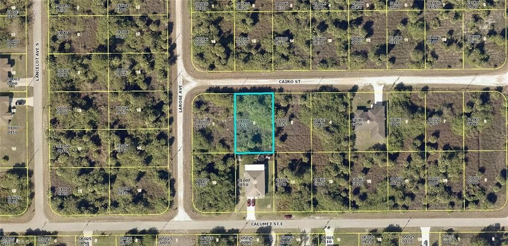 728 Cairo ST E LEHIGH ACRES, FL 33974