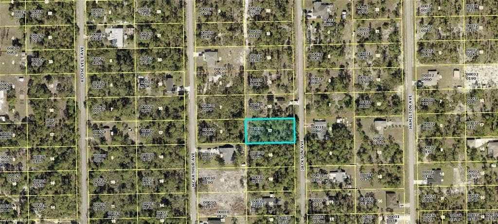 2209 Jackson AVE ALVA, FL 33920
