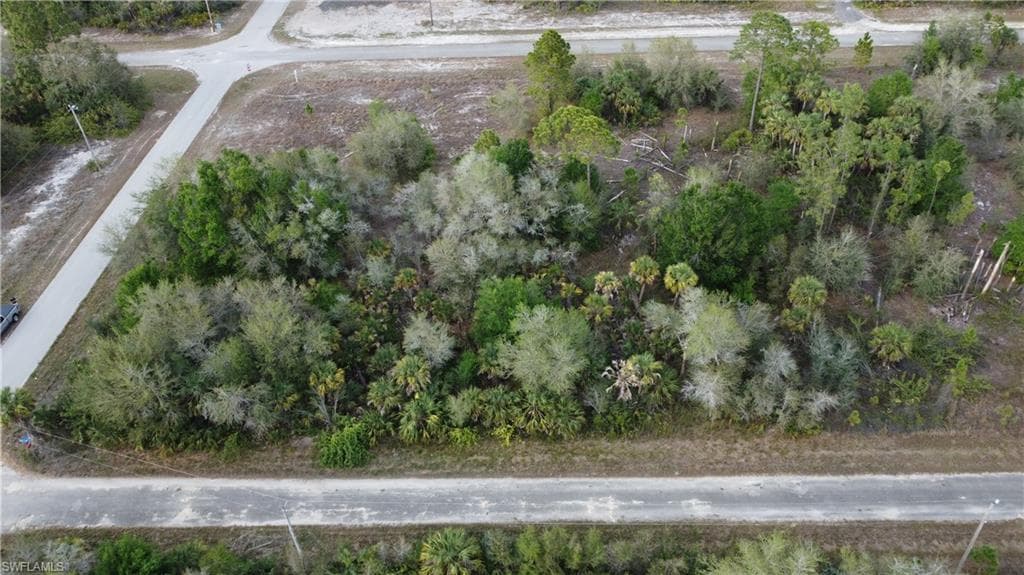 1215 Hillcrest ST E LEHIGH ACRES, FL 33974