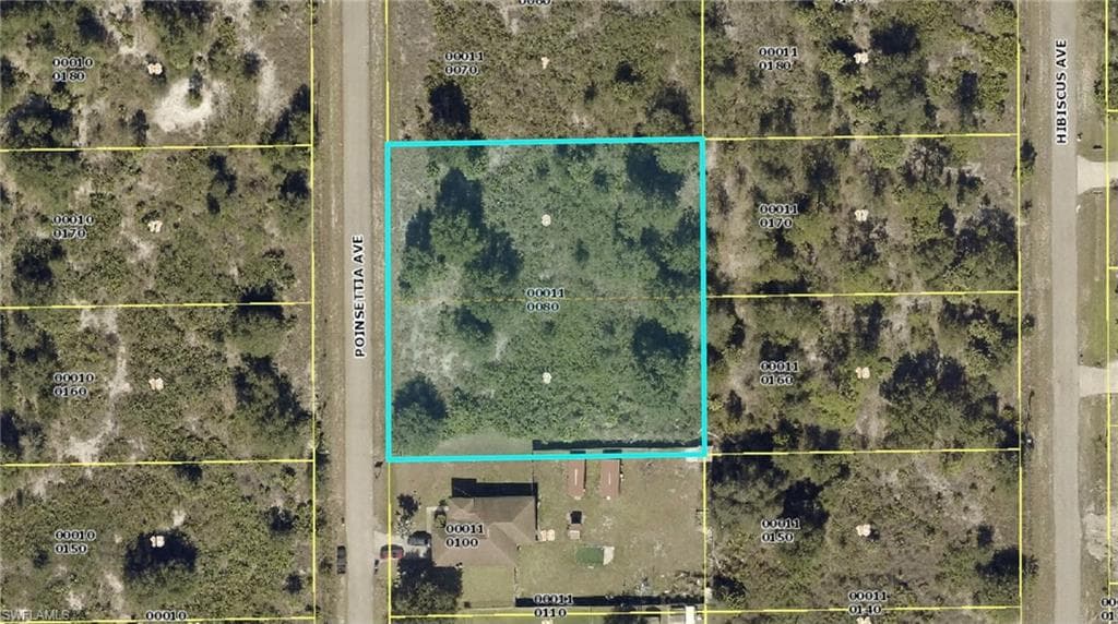 808 Poinsettia AVE LEHIGH ACRES, FL 33972
