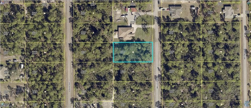 1311 Wells AVE LEHIGH ACRES, FL 33972