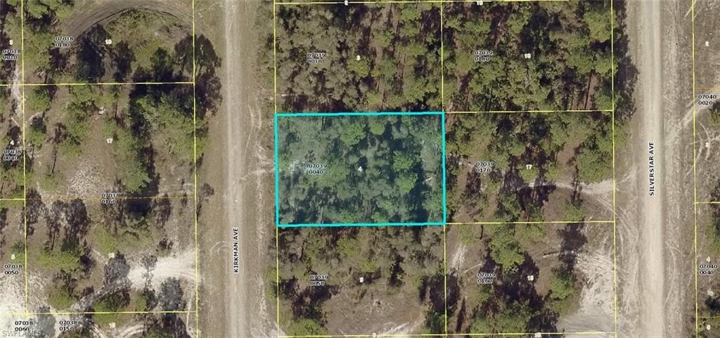 763 Kirkman AVE LEHIGH ACRES, FL 33974
