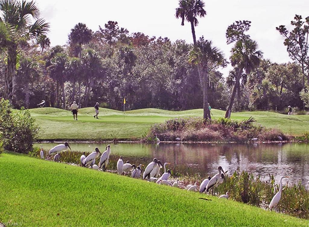 13530 Palmetto Grove DR FORT MYERS, FL 33905