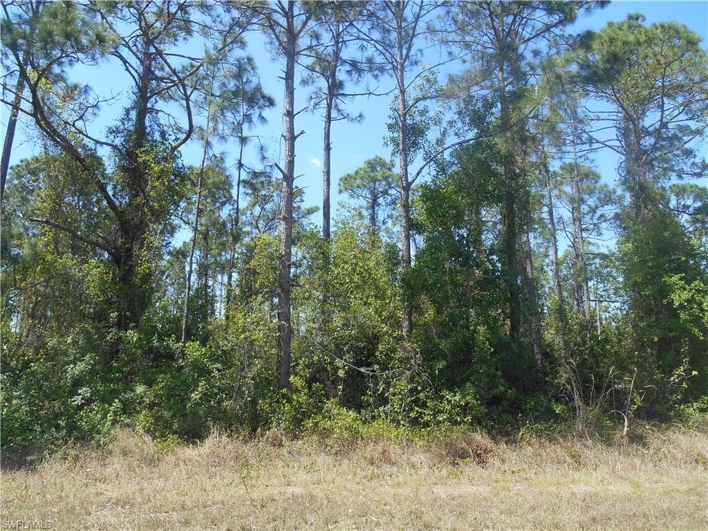 510 Walter Gifford AVE S LEHIGH ACRES, FL 33974