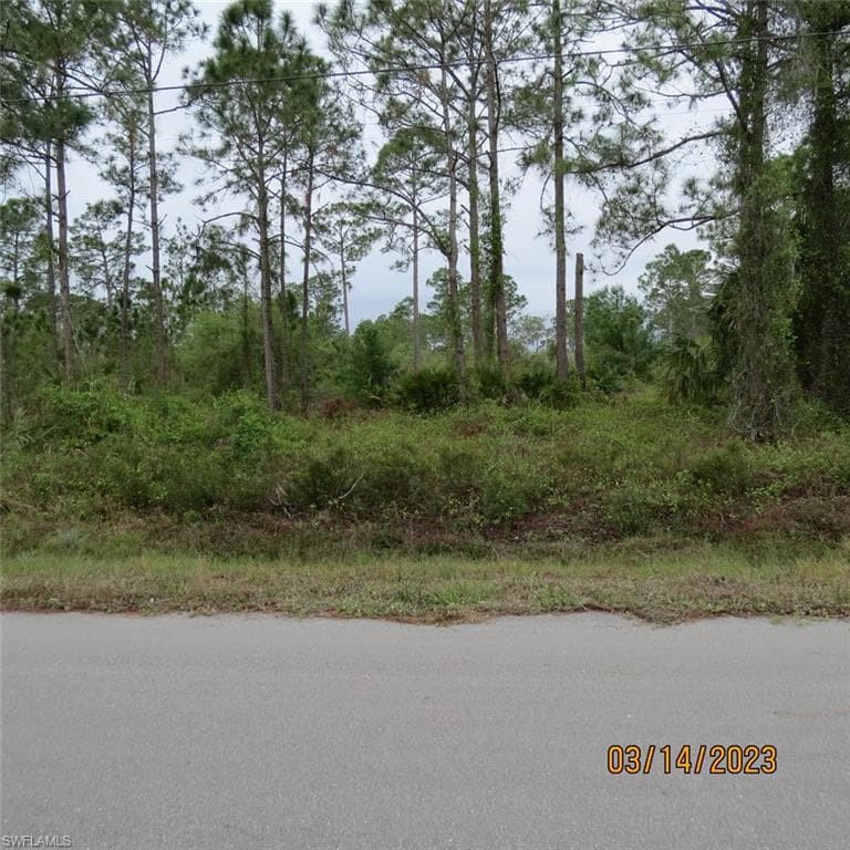 1121 McArthur AVE LEHIGH ACRES, FL 33936