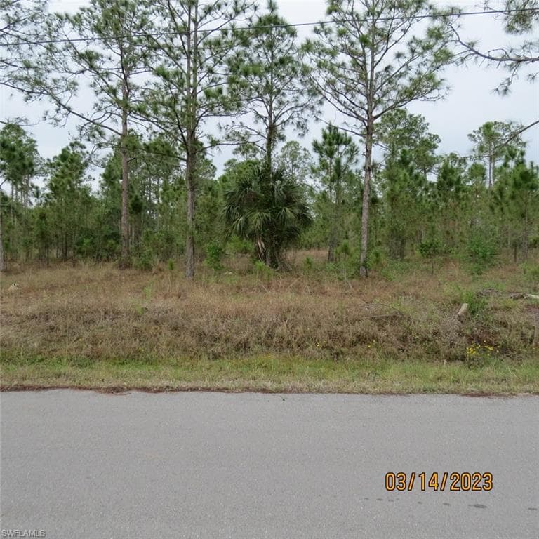 1117 McArthur AVE LEHIGH ACRES, FL 33936