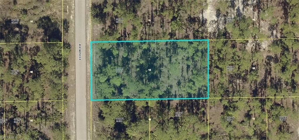 1102 Edison AVE LEHIGH ACRES, FL 33972