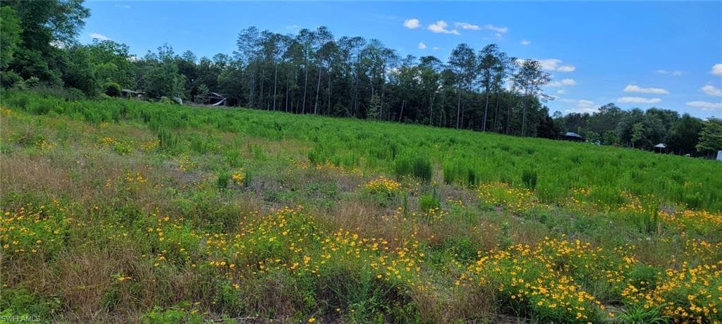 LIVE OAK, FL 32060