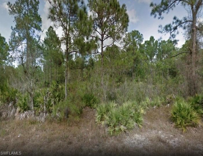 2517 Jetridge ST ALVA, FL 33920