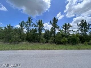 419 Yolanda ST LEHIGH ACRES, FL 33972
