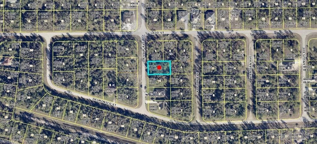 1009 Jessup AVE LEHIGH ACRES, FL 33974