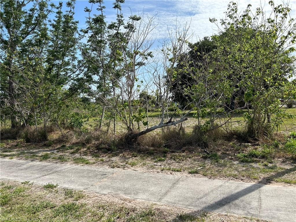 16971 1st ST ALVA, FL 33920