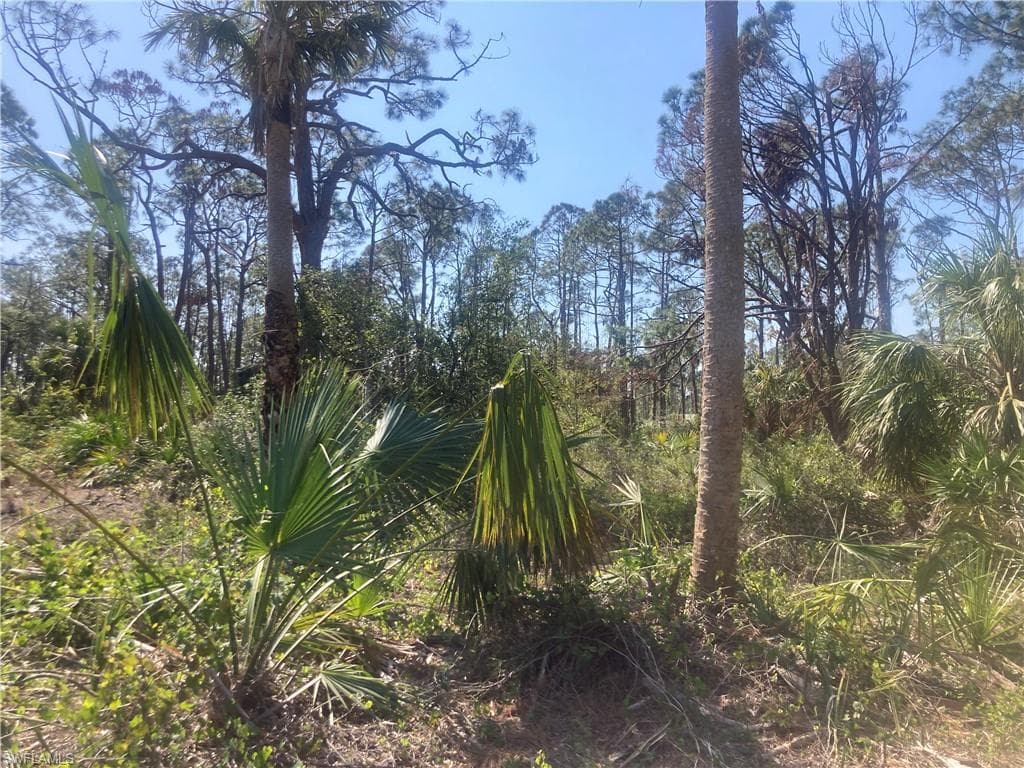 355 McDill DR PORT CHARLOTTE, FL 33953