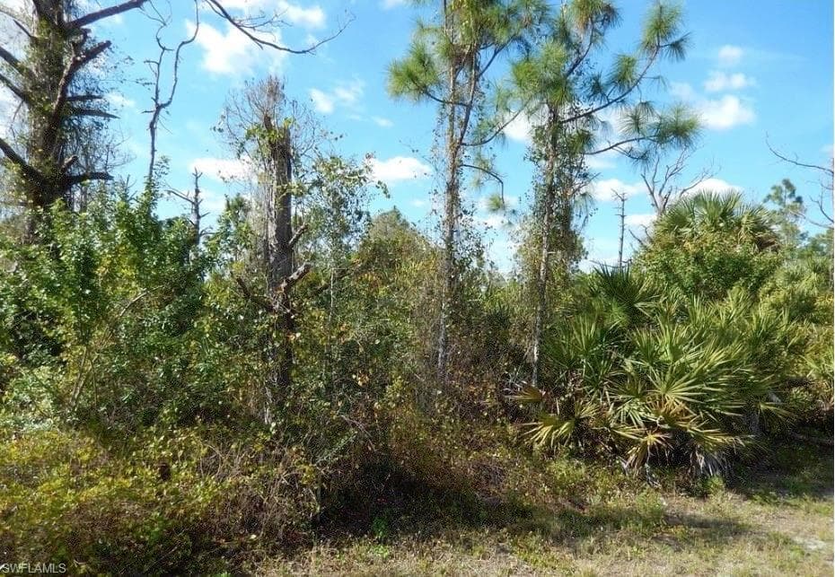 544 Aspen AVE S LEHIGH ACRES, FL 33974