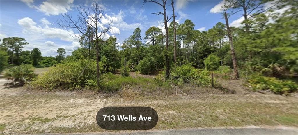 713 Wells AVE LEHIGH ACRES, FL 33972