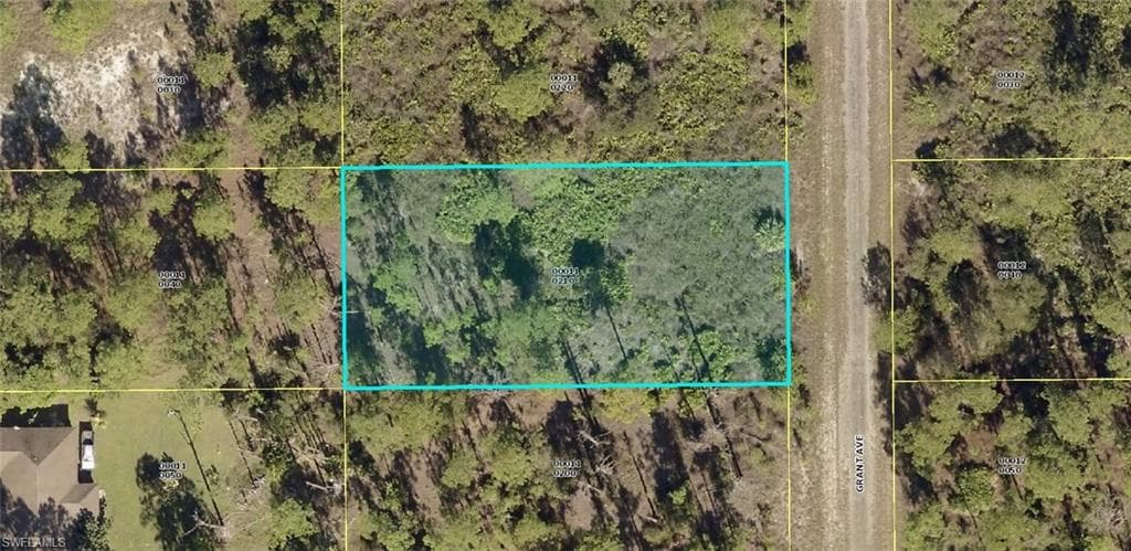 1219 GRANT AVE LEHIGH ACRES, FL 33972