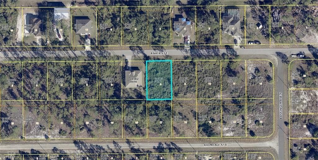 728 Asher ST E LEHIGH ACRES, FL 33974