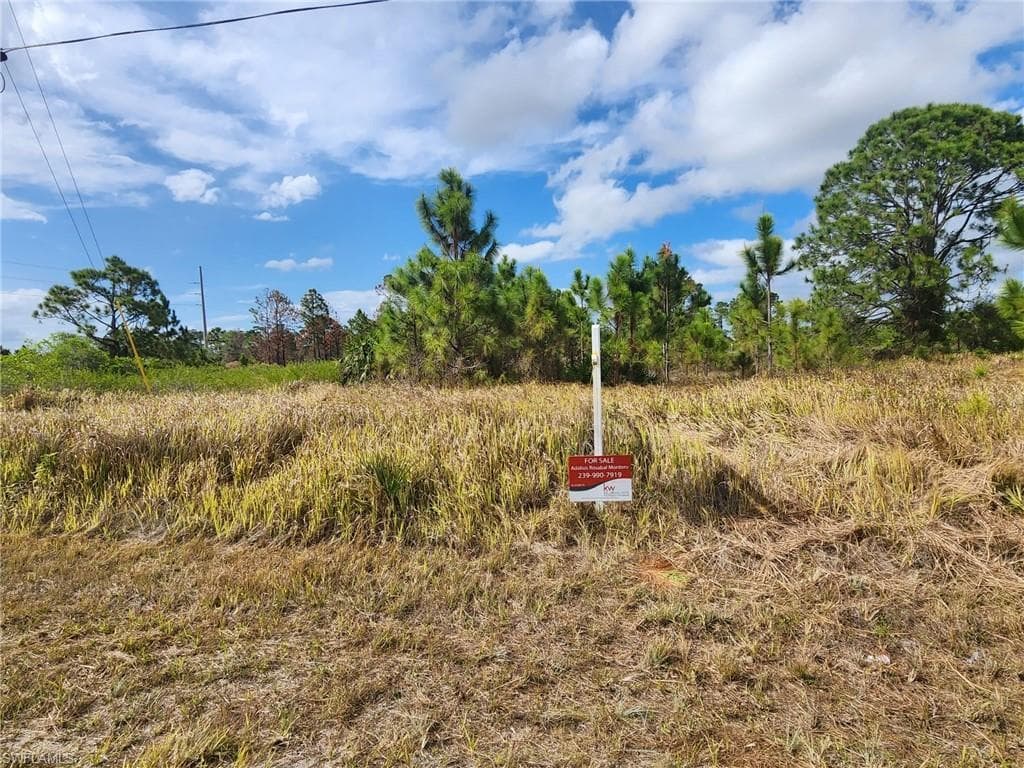 811 Asher ST E LEHIGH ACRES, FL 33974