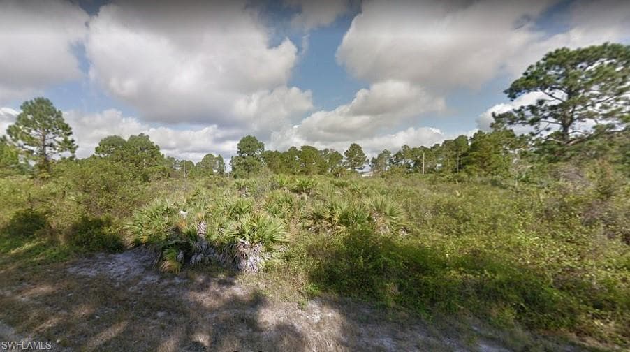 929 Fern ST E LEHIGH ACRES, FL 33974