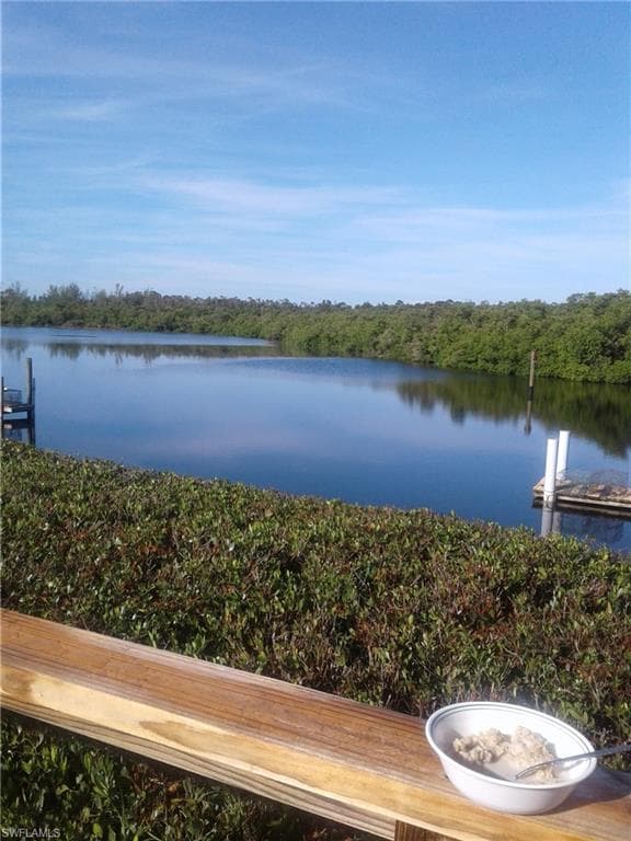 4741 Tahiti DR BONITA SPRINGS, FL 34134