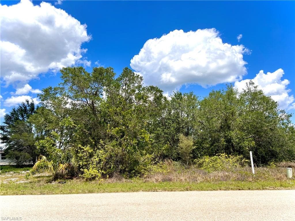 449 Redwing ST LEHIGH ACRES, FL 33974