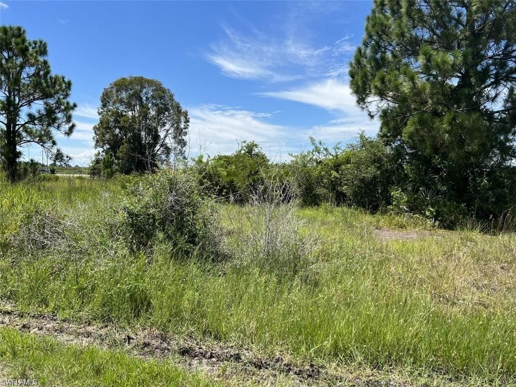 3370 Meadow RD LEHIGH ACRES, FL 33974
