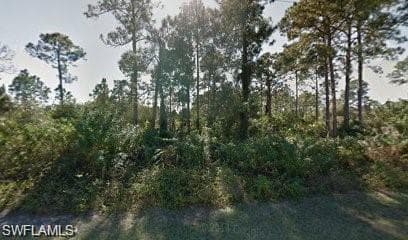 934 Alcalde ST E LEHIGH ACRES, FL 33974